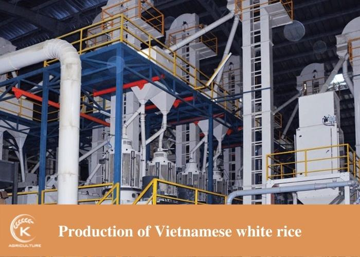 Vietnamese-white-rice-3.jpg